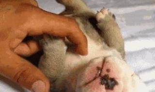 防空警报是什么意思